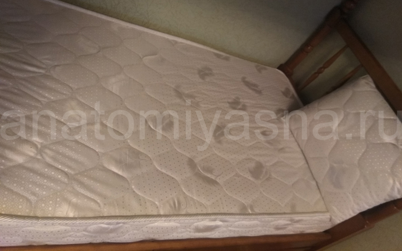 отзыв о Матрас Dimax Оптима Софт фото 3